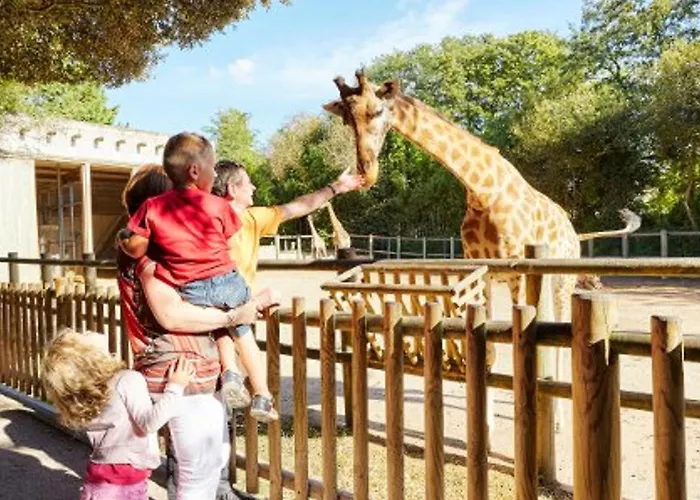 Moderne Rénové - Face - Terrasse - Wifi Gratuit - Fr-1-92-818 Les Sables-dʼOlonne